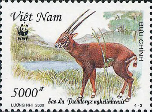A stamp portraying a Saola