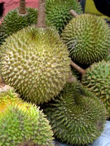 Durians are spikey!