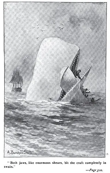 Did the whale really trap Moby Dick?
