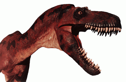 What the Albertosaurus may have looked like