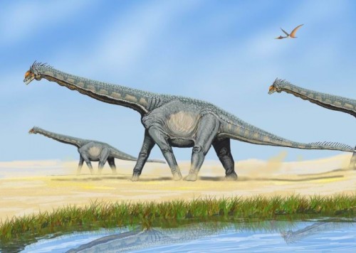 Were these one of the last dinosaurs to roam the earth?